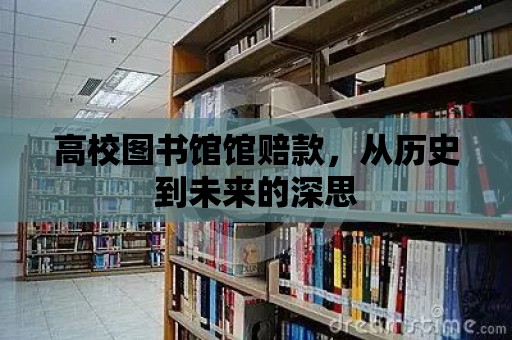 高校圖書館館賠款，從歷史到未來的深思