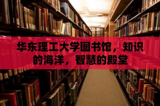 華東理工大學圖書館，知識的海洋，智慧的殿堂