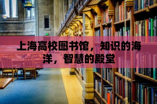 上海高校圖書館，知識的海洋，智慧的殿堂