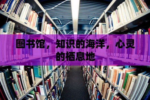 圖書館，知識的海洋，心靈的棲息地