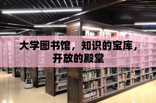 大學圖書館，知識的寶庫，開放的殿堂