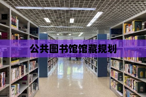 公共圖書館館藏規劃