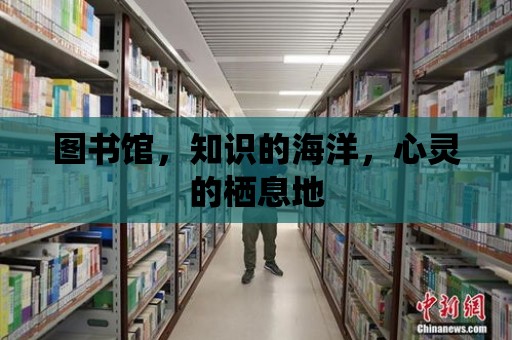 圖書館，知識的海洋，心靈的棲息地