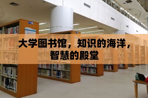 大學圖書館，知識的海洋，智慧的殿堂