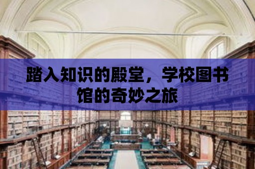 踏入知識的殿堂，學校圖書館的奇妙之旅