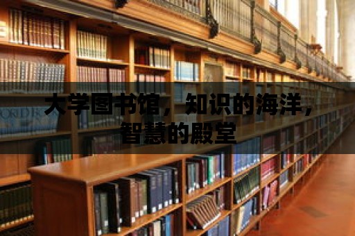 大學圖書館，知識的海洋，智慧的殿堂