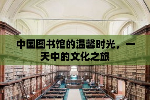 中國圖書館的溫馨時光，一天中的文化之旅