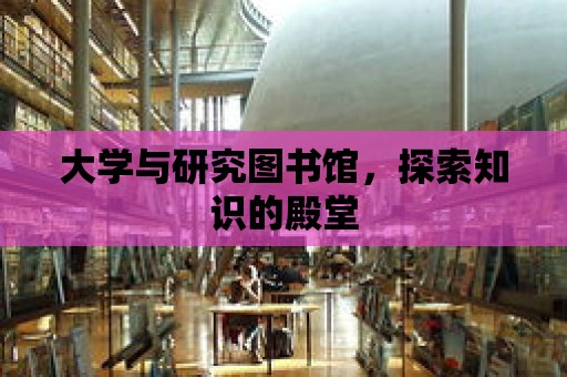 大學與研究圖書館，探索知識的殿堂