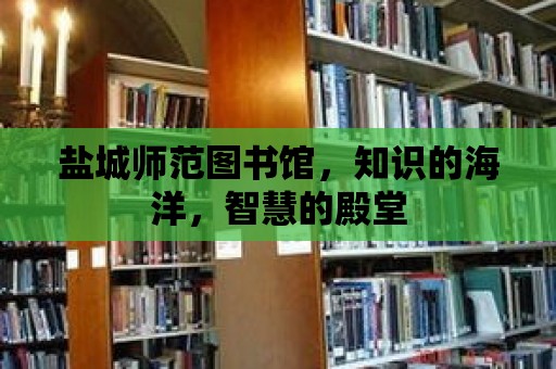 鹽城師范圖書館，知識的海洋，智慧的殿堂