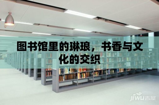 圖書館里的琳瑯，書香與文化的交織