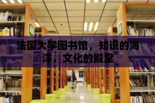 法國大學圖書館，知識的海洋，文化的殿堂