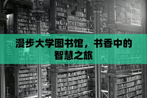 漫步大學圖書館，書香中的智慧之旅