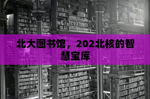 北大圖書館，202北核的智慧寶庫