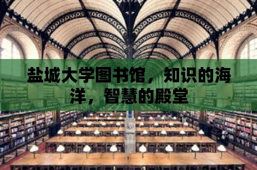 鹽城大學圖書館，知識的海洋，智慧的殿堂