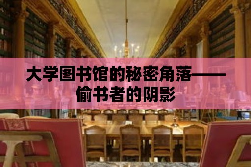 大學圖書館的秘密角落——偷書者的陰影