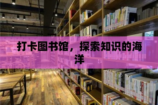 打卡圖書館，探索知識的海洋