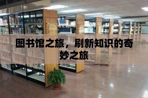 圖書館之旅，刷新知識(shí)的奇妙之旅