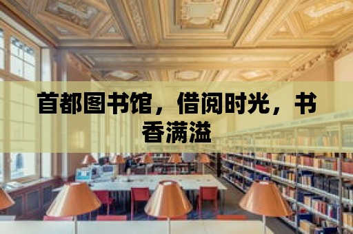 首都圖書館，借閱時光，書香滿溢