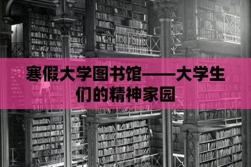 寒假大學圖書館——大學生們的精神家園