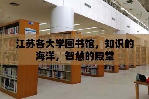 江蘇各大學(xué)圖書館，知識(shí)的海洋，智慧的殿堂