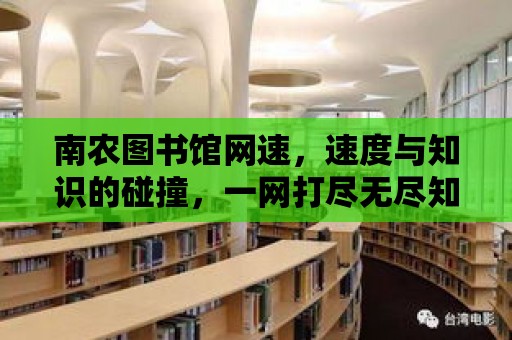 南農圖書館網速，速度與知識的碰撞，一網打盡無盡知識海洋