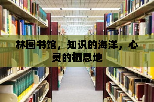 林圖書館，知識的海洋，心靈的棲息地