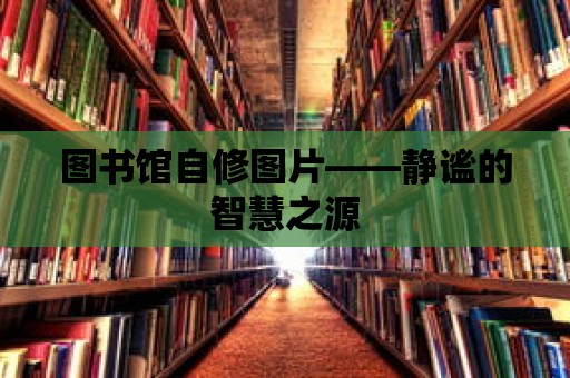 圖書館自修圖片——靜謐的智慧之源