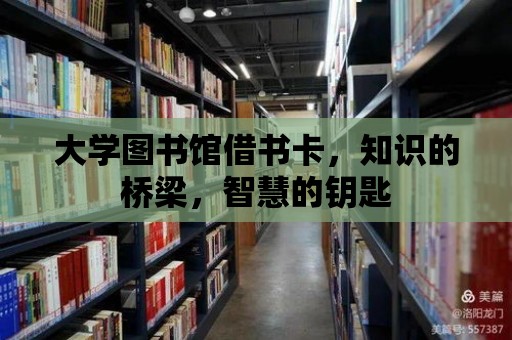 大學圖書館借書卡，知識的橋梁，智慧的鑰匙