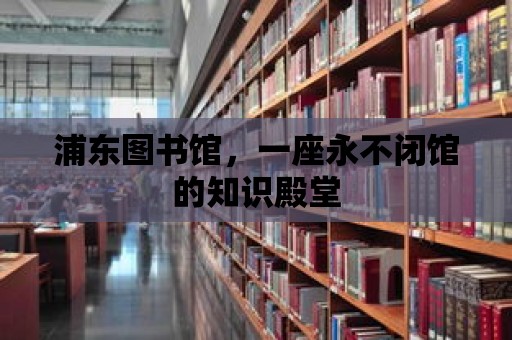 浦東圖書館，一座永不閉館的知識殿堂