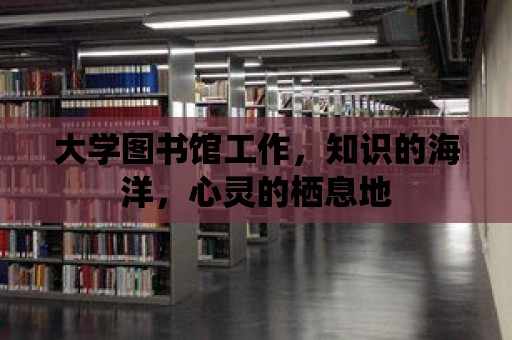 大學(xué)圖書館工作，知識(shí)的海洋，心靈的棲息地