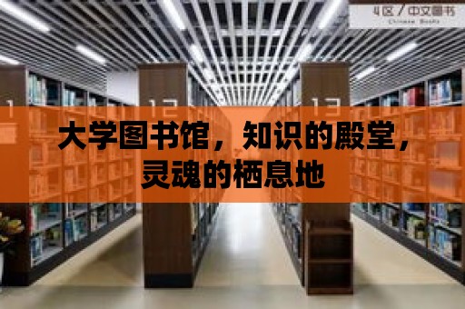 大學圖書館，知識的殿堂，靈魂的棲息地