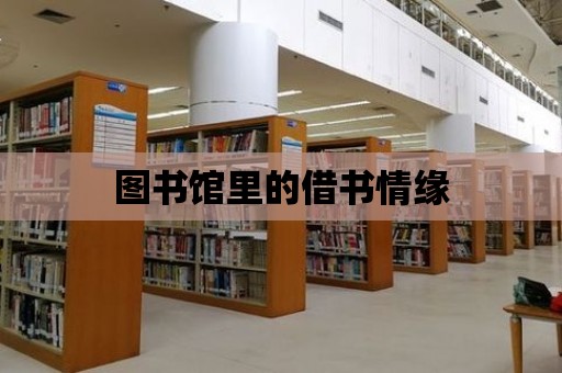 圖書館里的借書情緣