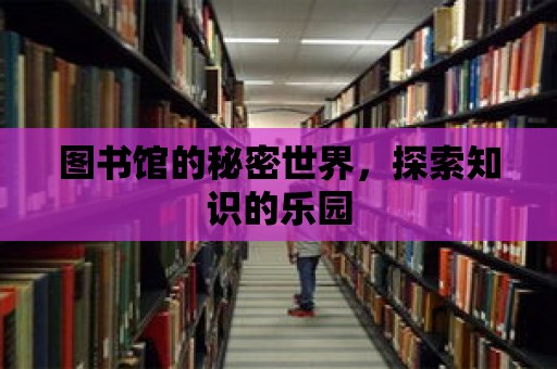 圖書館的秘密世界，探索知識的樂園