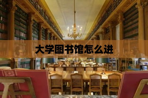 大學圖書館怎么進