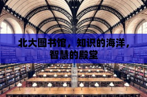 北大圖書館，知識的海洋，智慧的殿堂