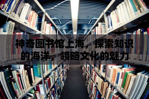 神奇圖書館上海，探索知識的海洋，領略文化的魅力