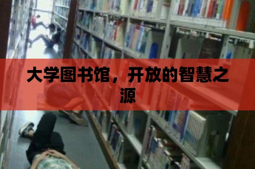 大學圖書館，開放的智慧之源