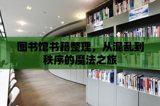 圖書館書籍整理，從混亂到秩序的魔法之旅