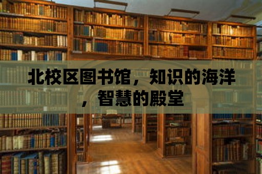 北校區(qū)圖書館，知識的海洋，智慧的殿堂