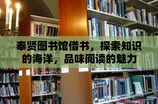 奉賢圖書館借書，探索知識的海洋，品味閱讀的魅力