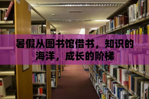 暑假從圖書館借書，知識的海洋，成長的階梯