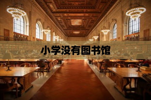 小學沒有圖書館