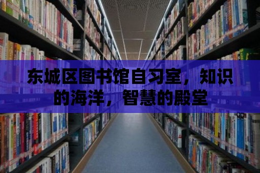 東城區(qū)圖書館自習(xí)室，知識的海洋，智慧的殿堂