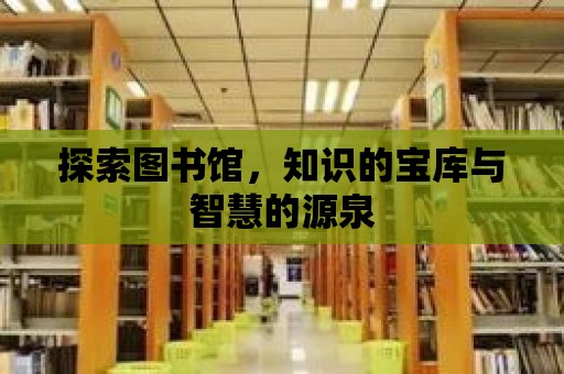 探索圖書館，知識(shí)的寶庫與智慧的源泉