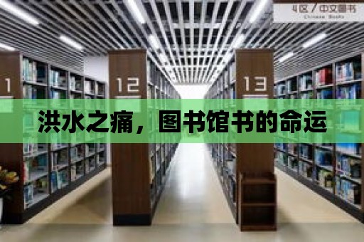 洪水之痛，圖書(shū)館書(shū)的命運(yùn)