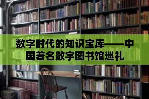 數字時代的知識寶庫——中國著名數字圖書館巡禮