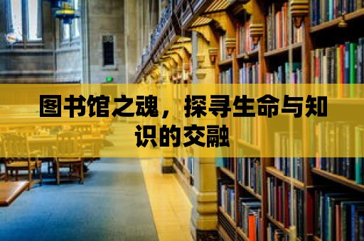 圖書館之魂，探尋生命與知識的交融