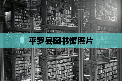 平羅縣圖書館照片