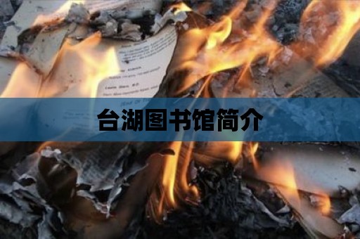 臺湖圖書館簡介