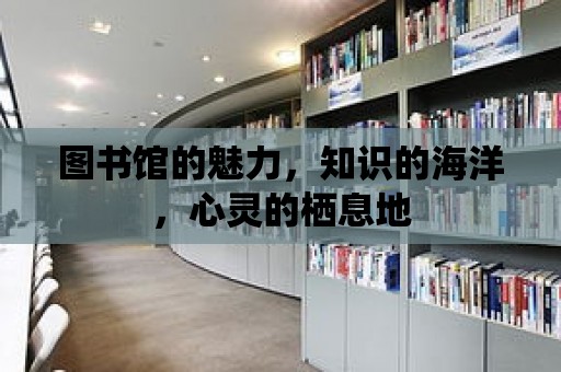 圖書館的魅力，知識的海洋，心靈的棲息地